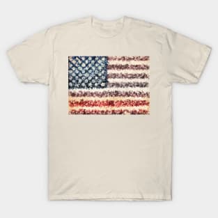 usa flag T-Shirt